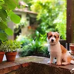 Bellavita *