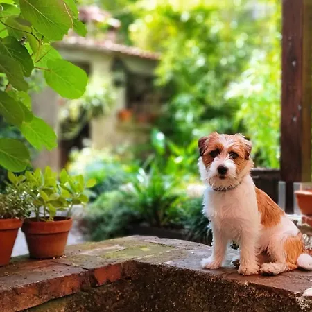 Bellavita *